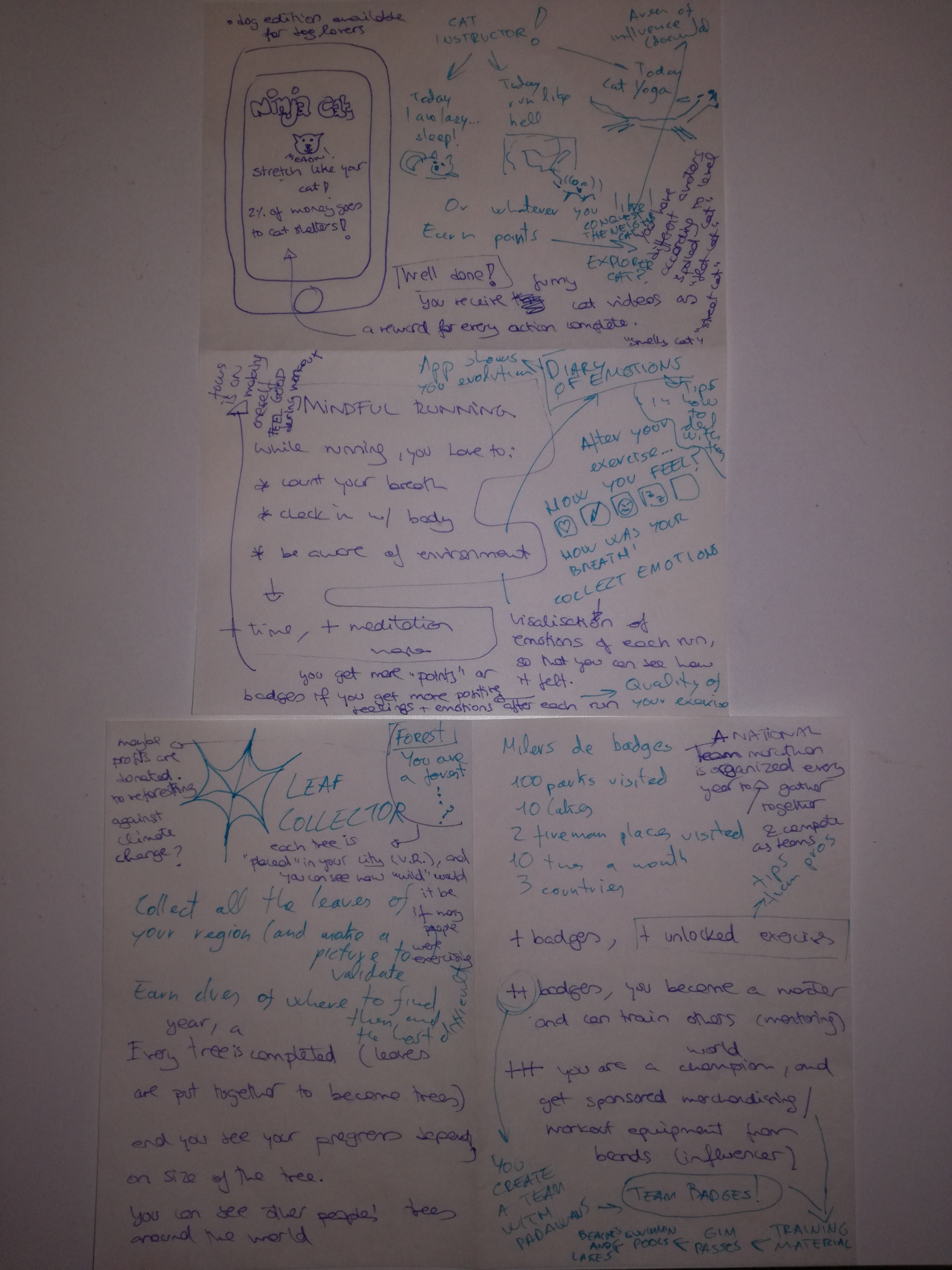 Bosc ideas2