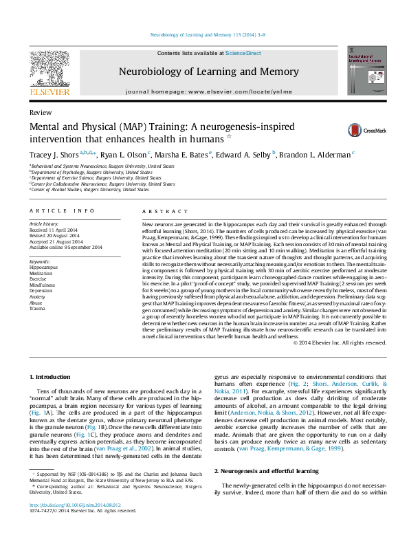 Abstract MAP Training